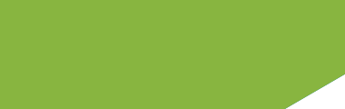 MAIN COLOR2